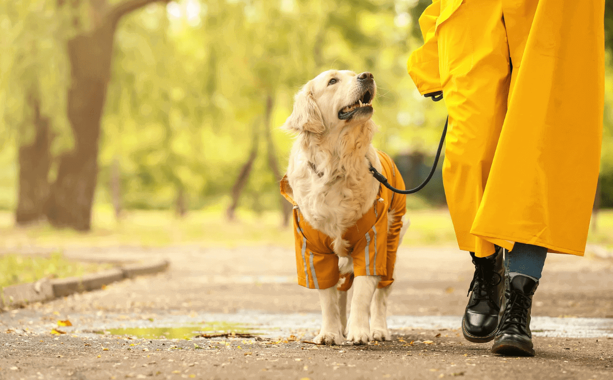 Tenues mignonnes assorties